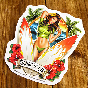 sibvK[XebJ[/Surfer Girl