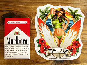 sibvK[XebJ[/Surfer Girl